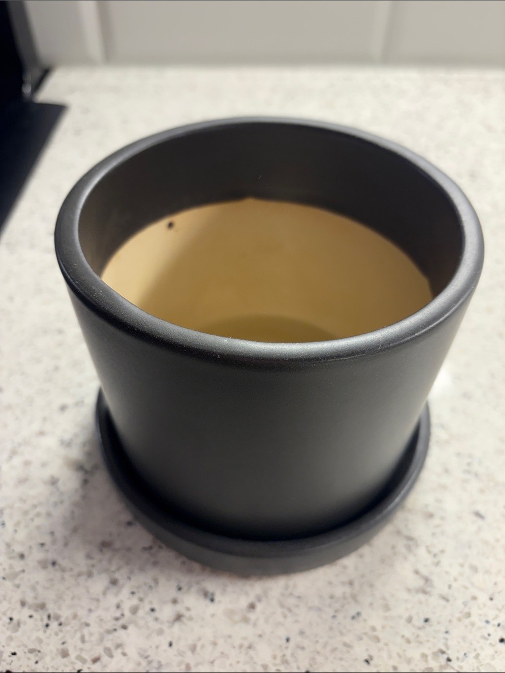 The Sill Matte Black Ceramic Planter Pot with Saucer